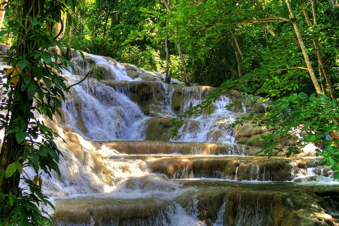 Day Trip to Dunn's River Falls from Montego Bay - Key points at a glance