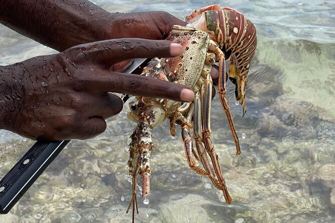 Day Trip to Negril from Montego Bay/Boat Ride to Booby Cay Island/Lobster Lunch - Rick’s Café for Cliff Views and Sunset