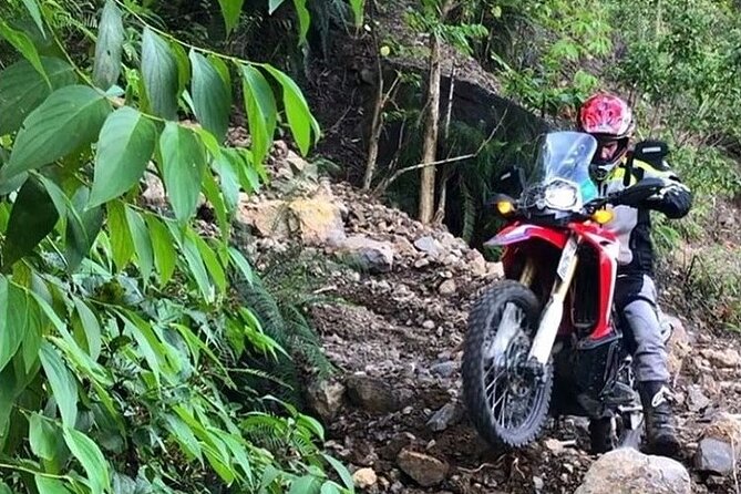 Dirt Bike Tours - Who should book this Kingston adventure?