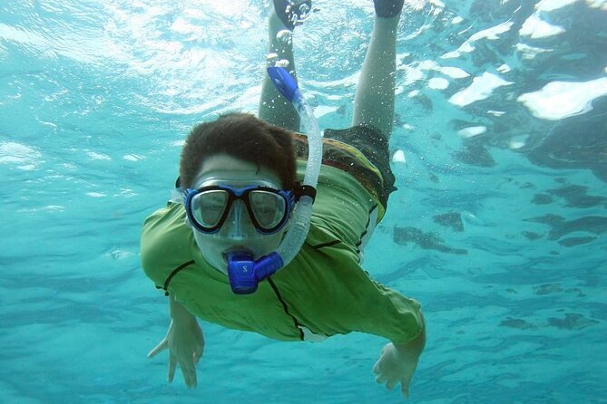 Discover Scuba Diving in Montego Bay-ONE Tank (First time Diving) - Understanding the one-tank format