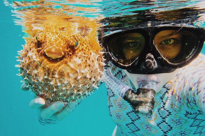 Discover Scuba Diving in Montego Bay-ONE Tank (First time Diving) - Meeting at Sunset Beach