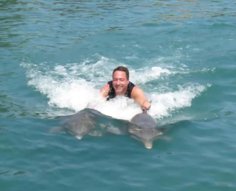 Dolphin Swim Adventure - What the three-hour schedule feels like