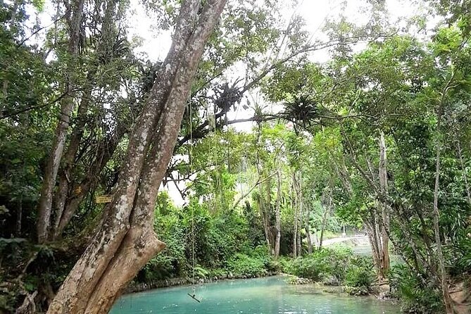 Dunn's Falls and Blue Hole Daytrip with Lunch from Montego Bay & Trelawny - Key points to know before booking