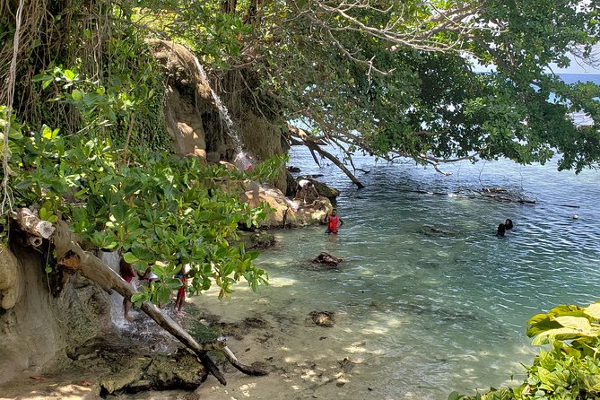 Dunn's Falls and Blue Hole Daytrip with Lunch from Montego Bay & Trelawny - Timing, pace, and the size of the group