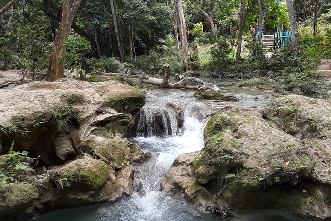 Dunn's Falls and Blue Hole Daytrip with Lunch from Montego Bay & Trelawny - Who will enjoy this Jamaica daytrip