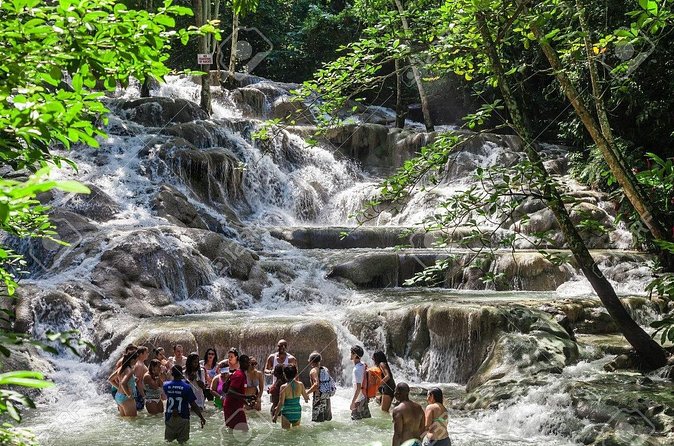 Dunn's River Falls and Horse Back Riding Excursion - Small-group size and the shared-tour tradeoff