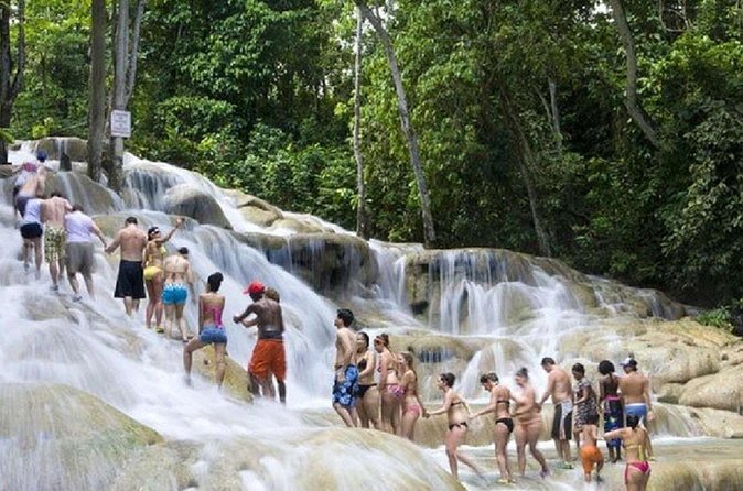 Dunn's River Falls and Horse Back Riding Excursion - Who will enjoy this excursion most
