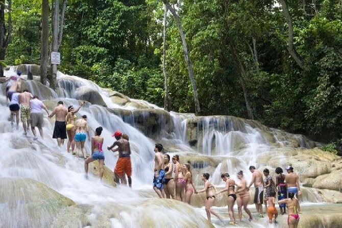 Dunn's River Falls and Horse Back Riding Excursion - Climbing Dunn’s River Falls, step by wet step