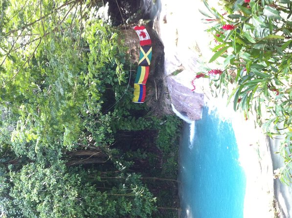 Dunn's River Falls and Jamaica Sightseeing Private Tour - The drive from Montego Bay to Falmouth