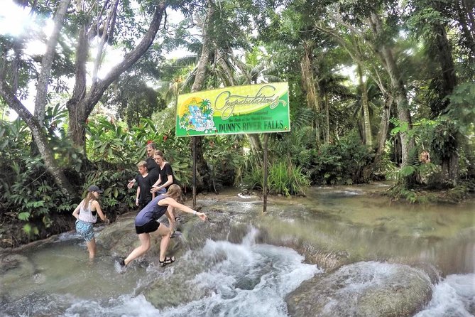 Dunn's River Falls and Ocho Rios Shopping Tour from Montego Bay Hotels - Climbing Dunn’s River Falls from Montego Bay