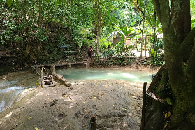Dunn's River Falls & Blue Hole from Montego Bay or Falmouth - Who should book this day?