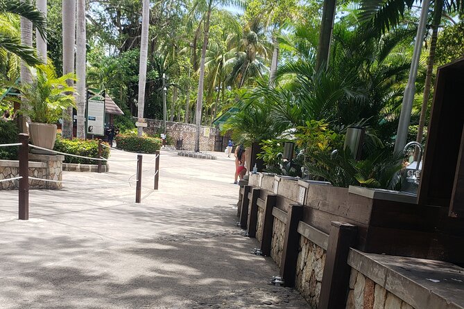 Dunn's River Falls & Blue Hole Tour from Montego Bay - The ride from Montego Bay sets the tone