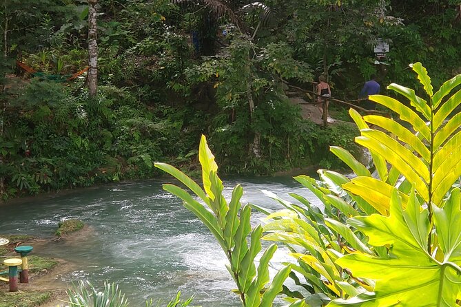 Dunn's River Falls & Blue Hole Tour from Montego Bay - Scotchies adds a useful Jamaican food stop