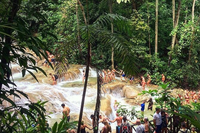 Dunn's River Falls & Blue Hole Tour from Montego Bay - Blue Hole brings the thrills