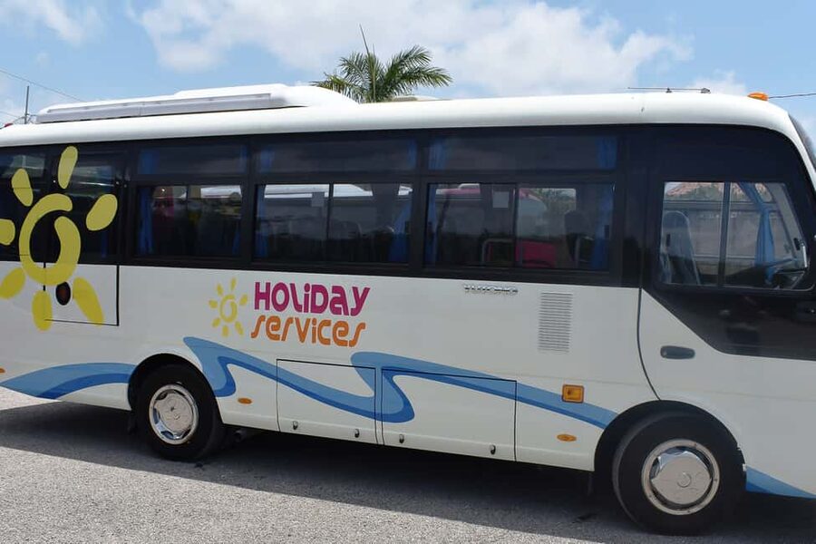 Dunn's River Falls, Bob Marley 9 Mile - Optional Lagoon Tour - Guides can make or break a 13-hour day