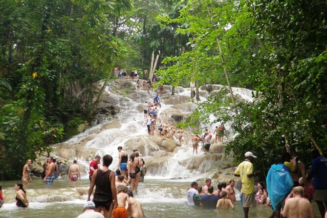 Dunn's River Falls Climb and Beach Include Entry Fee (ᵔᵕᵔ) - What the two-hour park visit includes