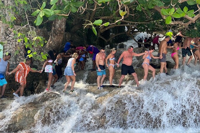 Dunn's River Falls Climb and Beach Include Entry Fee (ᵔᵕᵔ) - The $80 price and the entry-fee confusion