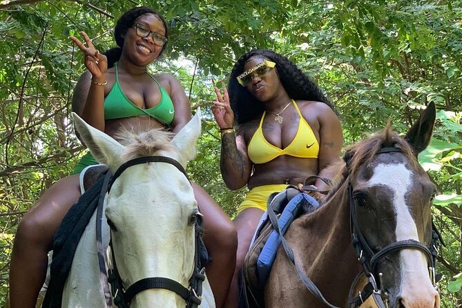 Dunn's River Falls Climb, Zipline and Horseback Riding Private Tour - A private ride from Montego Bay or Negril