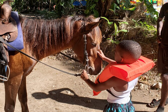 Dunn's River Falls Climb, Zipline and Horseback Riding Private Tour - What the $295 price really covers