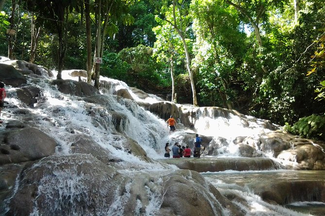 Dunn's River Falls excursion from Montego Bay - Why Dunn’s River Falls works as a day trip from Montego Bay