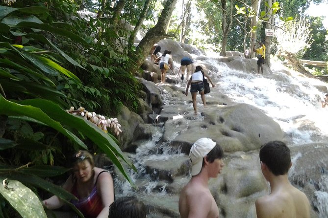 Dunn's River Falls excursion from Montego Bay - The 8:00 a.m. pickup from Montego Bay