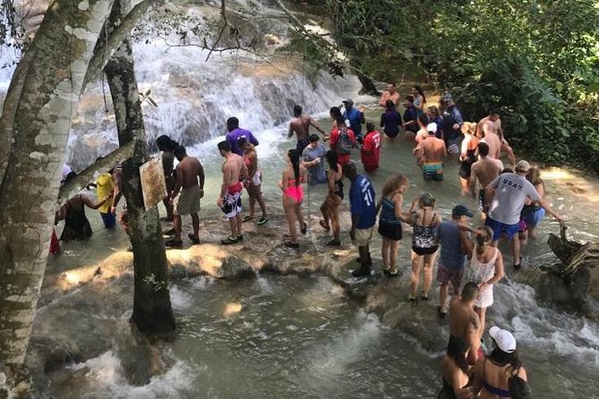 Dunn's River Falls From Montego Bay - Leaving Montego Bay in a private vehicle