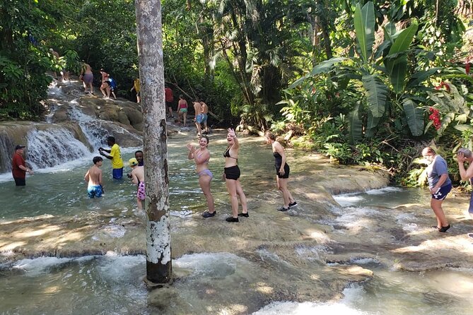 Dunn's River Falls Half Day Tour From Montego Bay - A private ride with room for personal requests