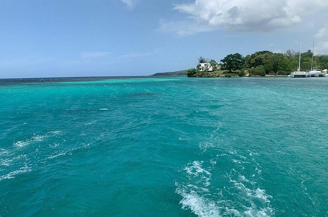 Dunn's River Falls Party Cruise, Blue Hole with Snorkeling, free beverages - Who will enjoy this most