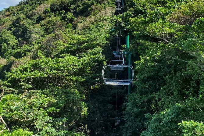 Dunn’s River Falls,Zip lining & horseback riding Combo tour from Montego Bay - Who will enjoy this most