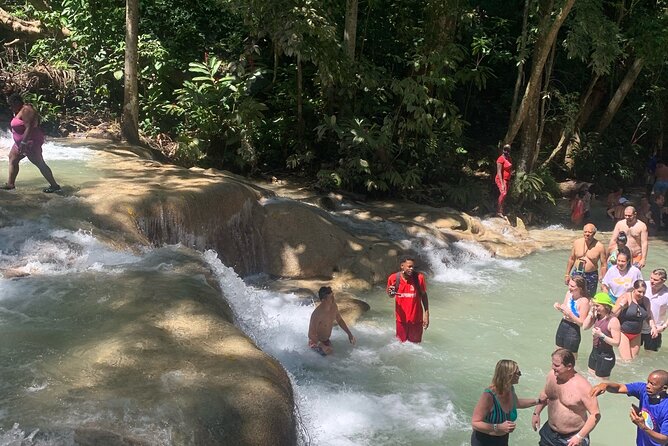 Dunn's River Falls, Zipline Adventure from Kingston - Is the $249 price fair?