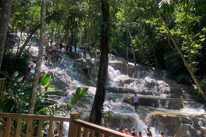 Dunn's River Falls, Zipline Adventure from Kingston - Who will enjoy this experience most