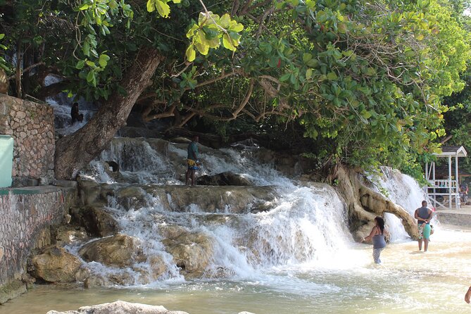 Dunn's River Park & Blue Hole Waterfall Combo from Montego Bay - The driver can shape the whole day