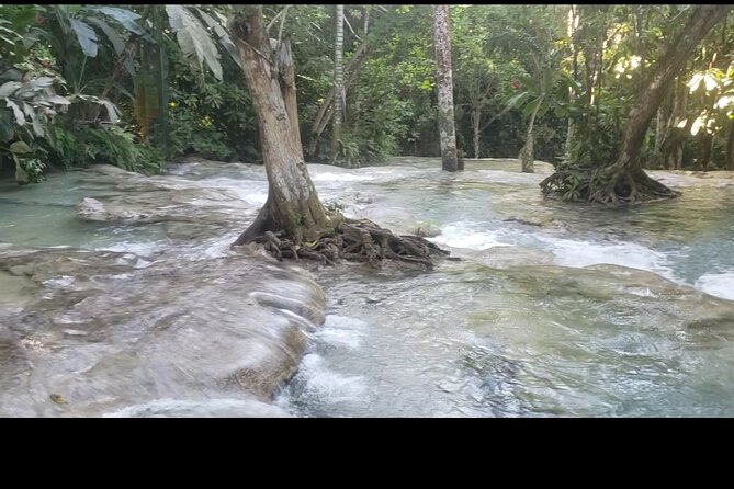 Dunns River Falls Experience from Montego Bay Resorts - Who should book this experience?