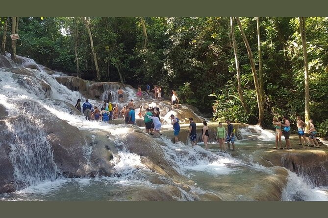 Dunns River Falls Private Day Tour - Small shopping warnings at the park