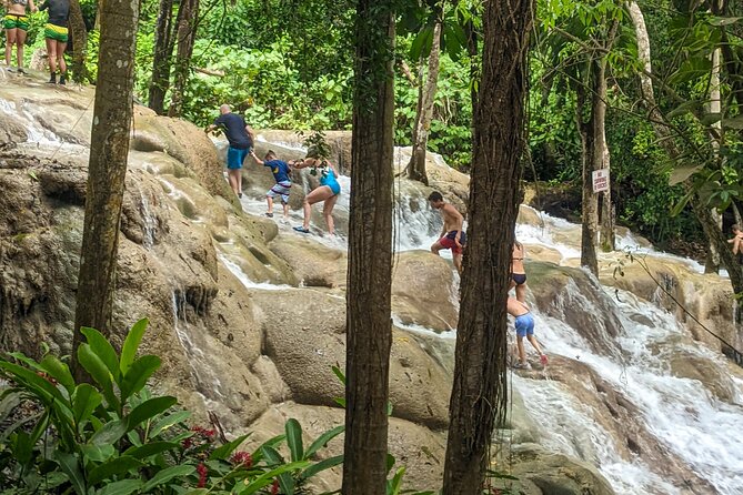 Dunns River Falls, Rafting, Zipline & Horseback from Montego Bay - Private transport helps, but the price is high
