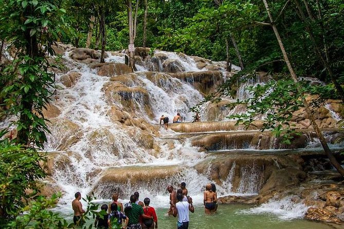 Dunns River Falls Scenic Tour - Key points at a glance