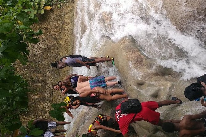 Dunns River Falls Scenic Tour - Is $300 per person a fair price?