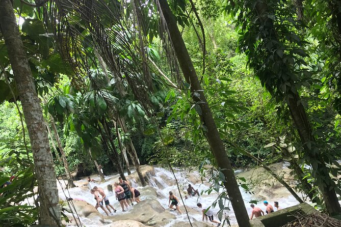 Dunns River Tour - Leaving Montego Bay in a private vehicle