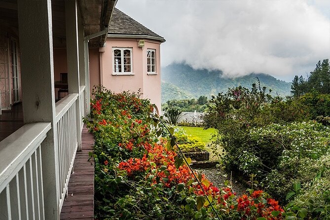 Exotic Blue Mountain Coffee Tour - What the $275 price covers