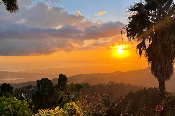 Exotic Blue Mountain Coffee Tour - Strawberry Hill, a worthwhile optional detour