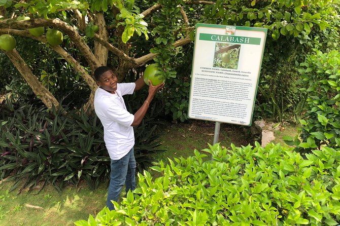 Explore Montego Bay Jamaica Private Tour to Green Gratto Cave - Queen’s Monument adds a historical pause