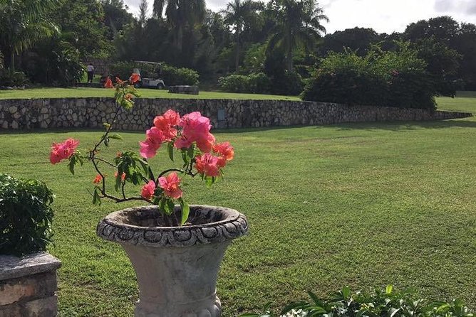 Explore Montego Bay Jamaica Rose Hall Great House Day/Night Tour - Timing, weather, and cancellation details
