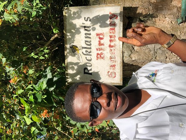 Explore Montego Bay Private Highlight Tour from Montego Bay - Who will get the most from this tour