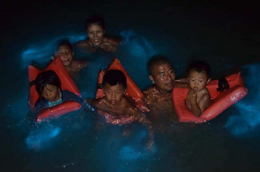 Falmouth: Luminous Lagoon Boat Tour - Should you book the Luminous Lagoon Boat Tour?
