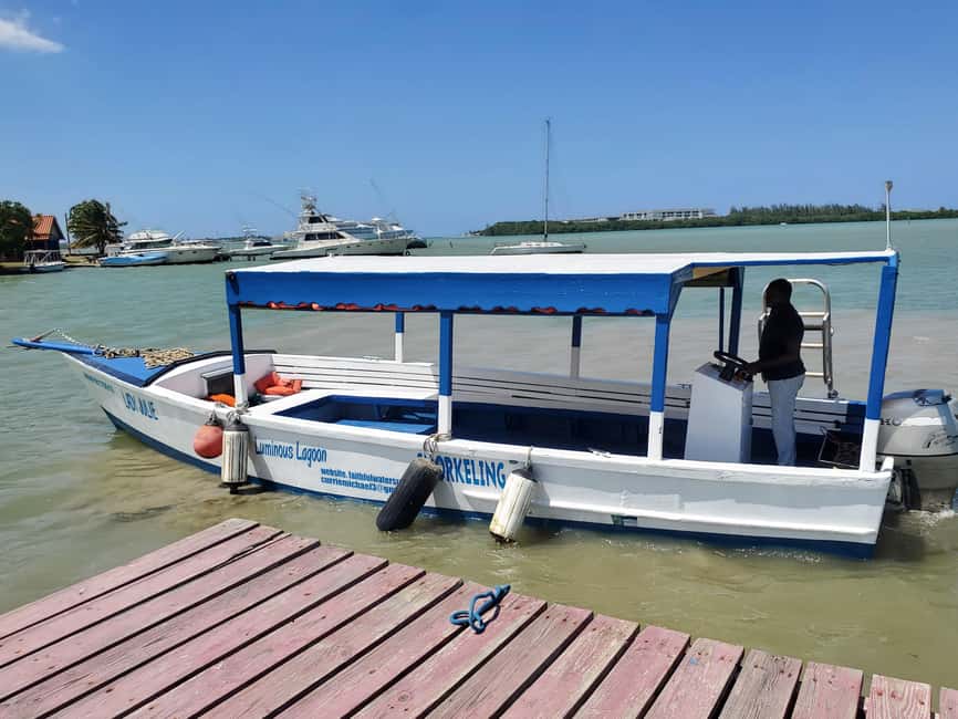 Falmouth: Luminous Lagoon Boat Tour - What you receive for $25