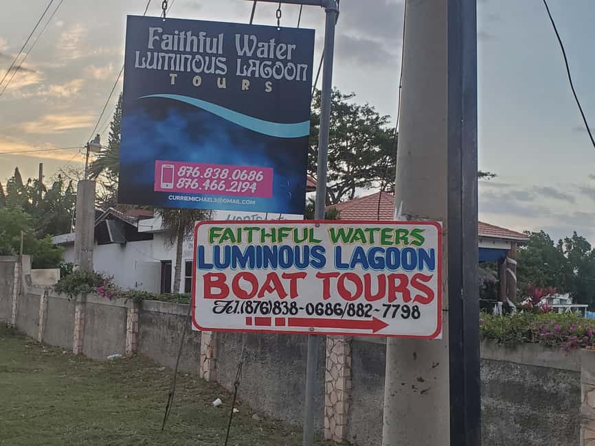 Falmouth: Luminous Lagoon Boat Tour - Small groups, private bookings, and the guide