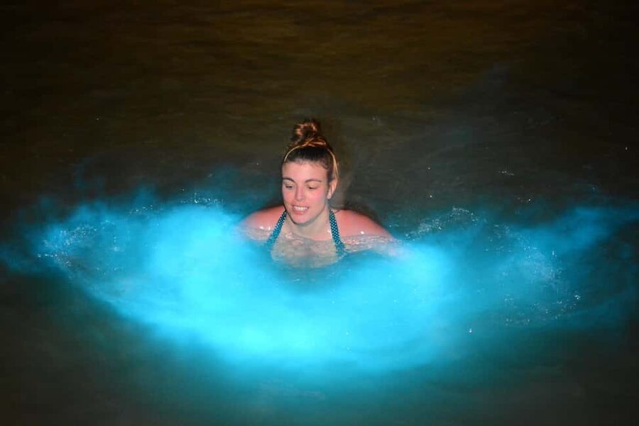 Falmouth: Luminous Lagoon Boat Tour - Who will enjoy this outing most