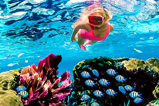 Family Fun-Snorkeling with Lunch Stop from Montego Bay - A focused reef trip from Montego Bay
