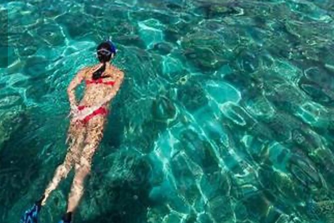 Family Fun-Snorkeling with Lunch Stop from Montego Bay - What the 60-minute snorkeling session feels like