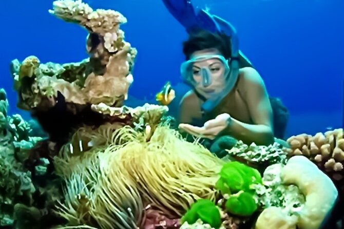 Family Fun-Snorkeling with Lunch Stop from Montego Bay - The Jamaican lunch stop after snorkeling